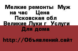 Мелкие ремонты. Муж на час  › Цена ­ 500 - Псковская обл., Великие Луки г. Услуги » Для дома   